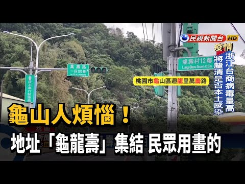 龜山合浦