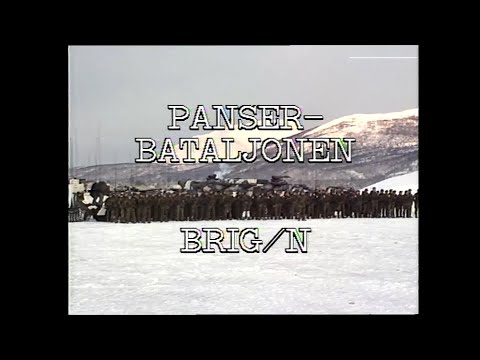 PANSERBATALJONEN BRIG N