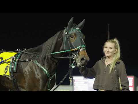 2025 Breeders Crown Eliminations Recap #Crown25