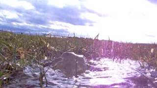 Die  Quelle, Naturgeräusche - Meditation