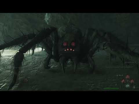 🕷️ Hogwarts Legacy: Defeating the GIANT SPIDER on Hard Mode | Epic Forbidden Forest Battle