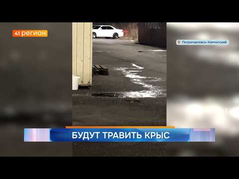 Новости Камчатки за 10 апреля 2026 года