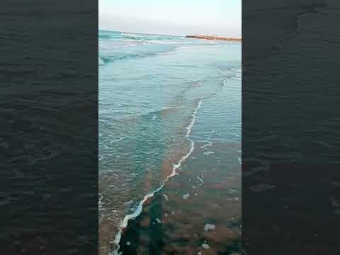 oman sea ### muscat, aziba sea Beach ⛱️⛱️#shortsvideo
