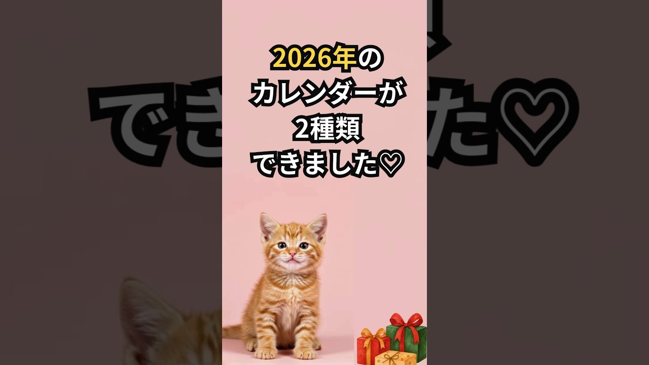 ココの2026年カレンダーが2種類できたよ〜🐾