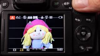 AE and AF lock, AFF, AFS and AFC focus styles on Panasonic Lumix Cameras Explained