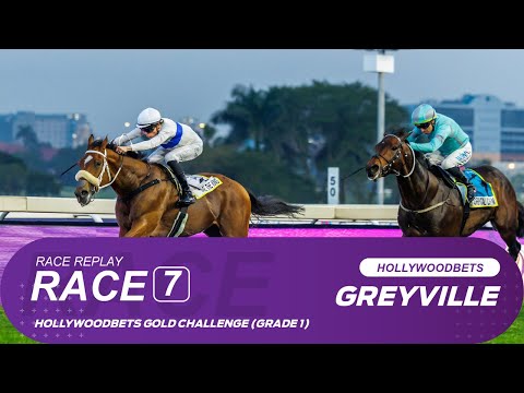 20250607 Hollywoodbets Greyville Race 7 won by DAVE THE KING