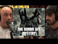 bondo apes are the congo’s version of bigfoot “crazy” joe rogan