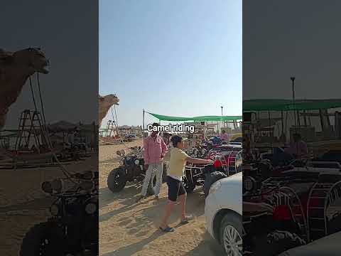 sunset # Mandvi beach# gujraat tourism # camel riding# shorts