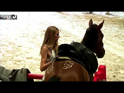 MUSTANG MAKEOVER 2018 Team Lina - Platz 3 Young Horses