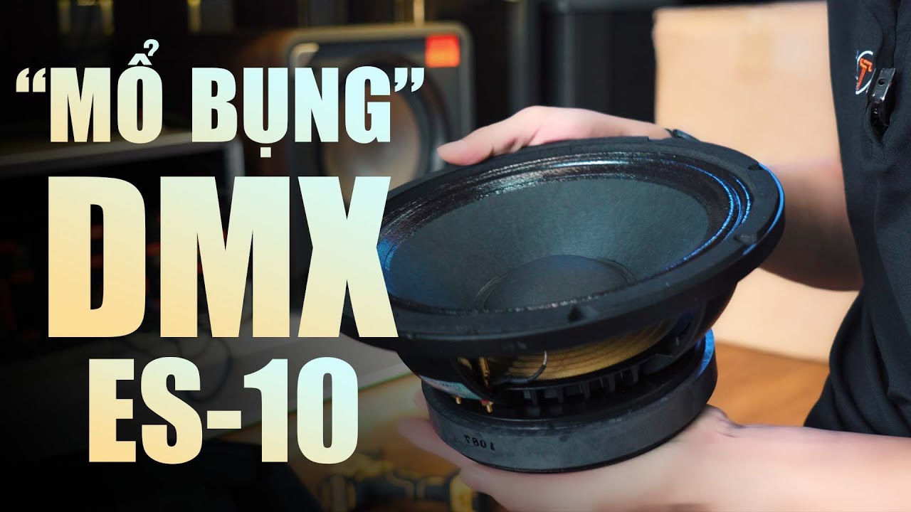 video Loa karaoke DMX ES-10 chính hãng 0