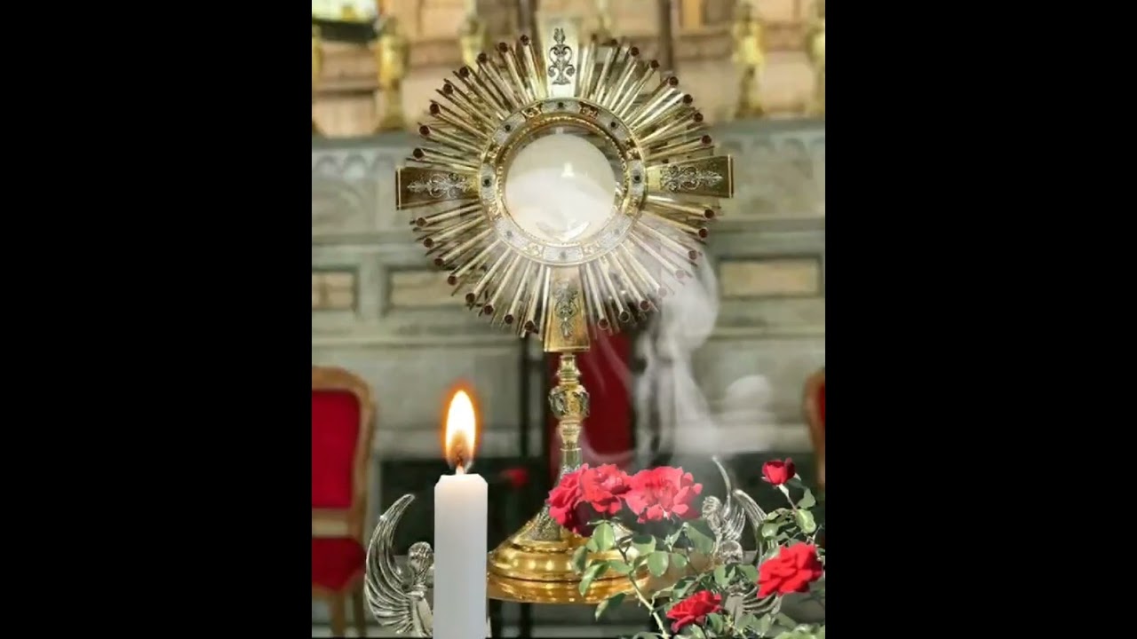 CINCO MINUTOS CON JESÚS SACRAMENTADO  Domingo 17 de Noviembre de 2024