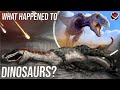 Dinosaurs From The First To The Last Day Of Life 4K ReYOUniverse