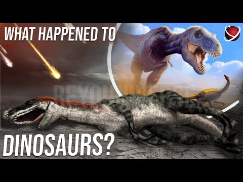 Dinosaurs. From the First to the Last Day Of Life 4K - ReYOUniverse