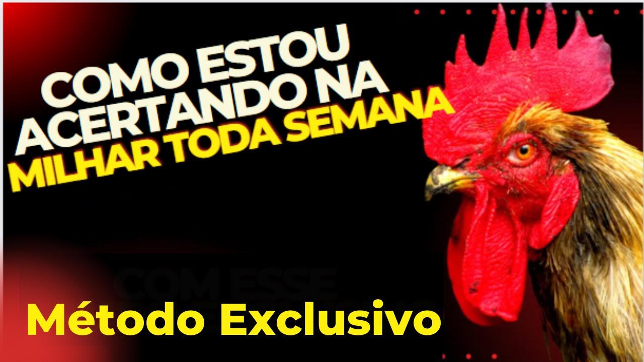 💥 Veja como ganhar no jogo do bicho sempre - jogo do bicho - como ganhar no jogo do bicho todo dia