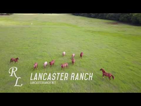 An evening at Lancaster Ranch