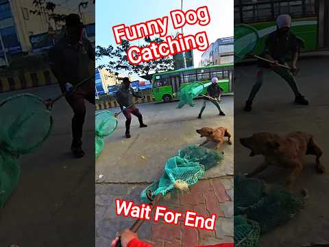 Thakur gunda log hai bhag re #dog #shorts #ytviral #dogwithpublicsafety #pets
