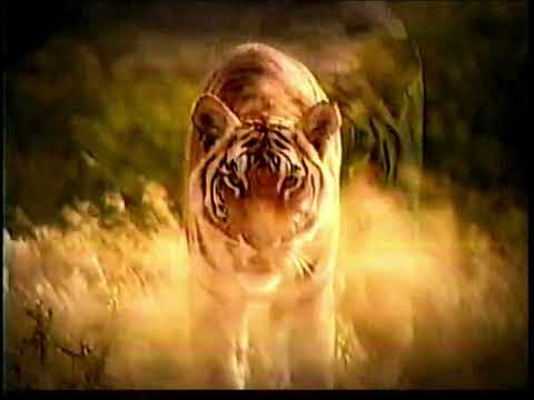 2003 Discovery Channel commercial