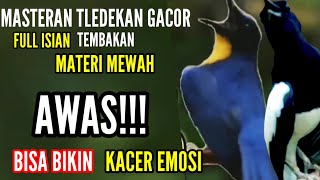 Download lagu 🔴Masteran Tledekan Gunung Gacor Jawara! Pancingan Emosi Kacer Gacor Buka Ekor❗Terbukti Ampuh‼️ mp3 Download lagu 🔴Masteran Tledekan Gunung Gacor Jawara! Pancingan Emosi Kacer Gacor Buka Ekor❗Terbukti Ampuh‼️ mp3