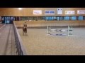 Yegua de ganader&iacute;a Silla Franc&eacute;s En venta 2010 Alaz&aacute;n por ILVIEN DES MIELLES