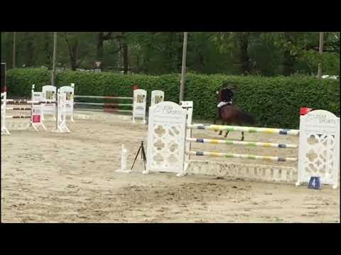 2021 05 12 Carlotta S-Springen in Olfen