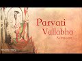 Parvati Vallabha Ashtakam | Long play | Damaru | Sounds of Isha | Sadhguru Time