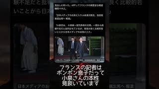 進次郎さんを担ぐメディアが小馬鹿にされてる #政治 #政治ニュース #小泉進次郎#メディア