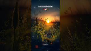 Sirukki vaasam kaathoda 💕🫶🏻#lyrics_whatsapp_status #shorts #whatsappstatus#lovesong #tamilsonglyrics