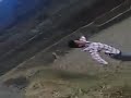 FWA BAGA RE Funny Video
