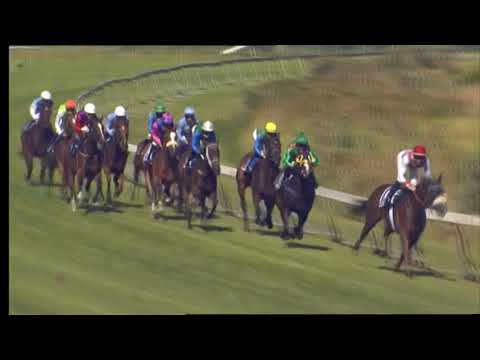 2021.01.30 Majorca Stakes (RSA) - Captain's Ransom