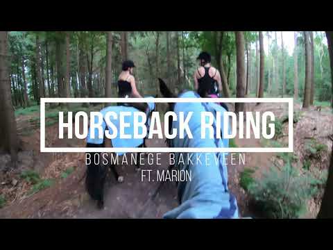 Horsebackride Bosmanege Bakkeveen