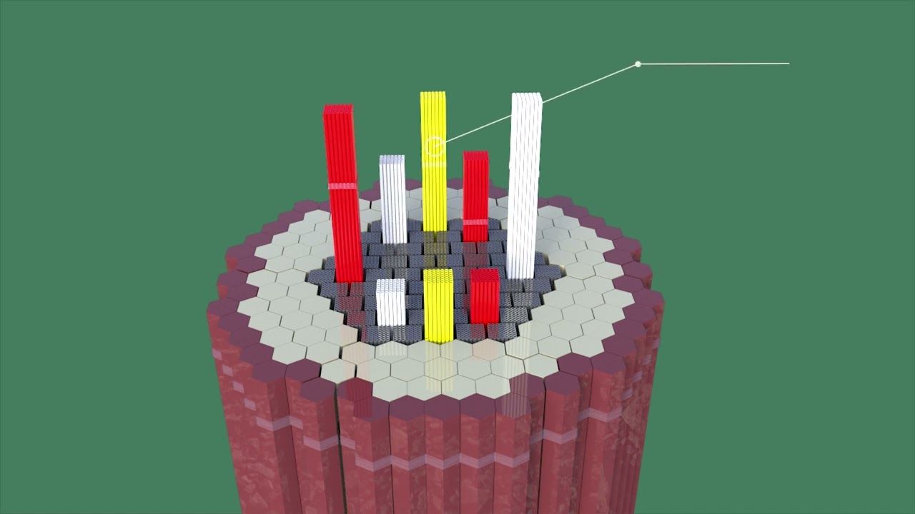 Nuclear Power Plant — How It Works
