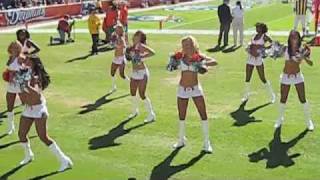 Miami Dolphin Cheerleeders  11_08