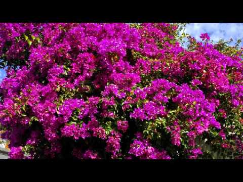 God: Ingredients for Making a Cake - Heavenletter #5489 - December 4, 2015