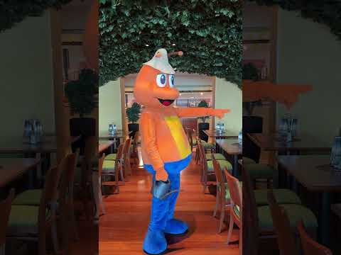 Habt ihr Dodo schon mal getroffen? 💪 #aidacruises #aidamomente