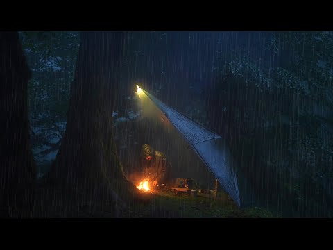 Can I survive and camp in this heavy rain in the dark forest?
