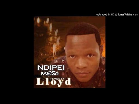 Ndepei Meso (Lloyd Tevedzai)