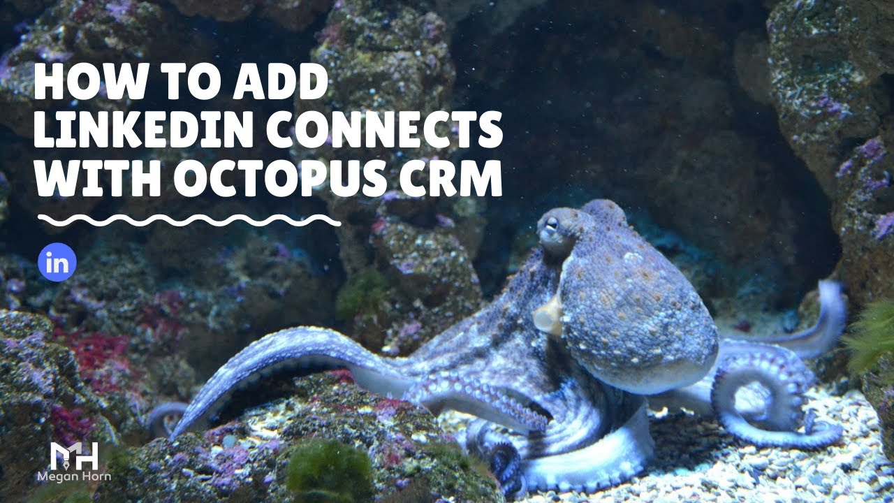 How to Add LinkedIn Connections with Octopus CRM