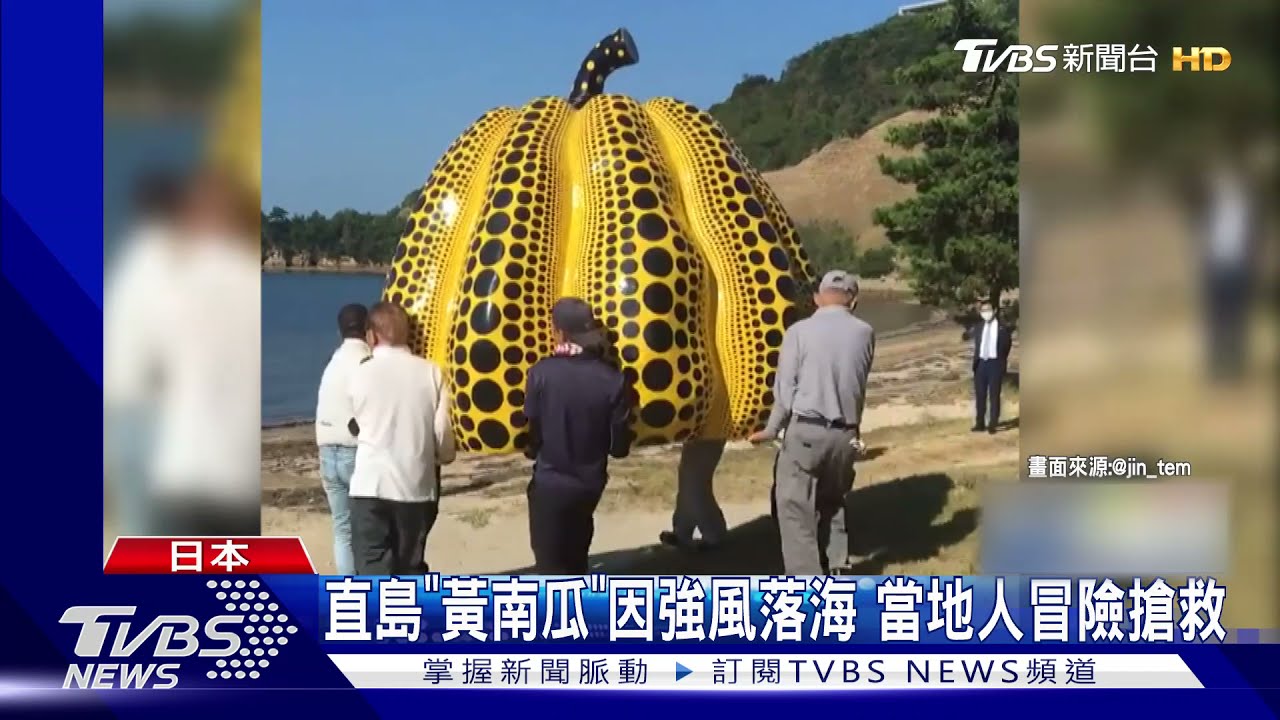 直島地標!草間彌生「黃南瓜」因強風落海 當地人冒險搶救