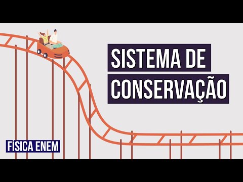SISTEMA DE CONSERVAÇÃO | Resumo de Física para o Enem