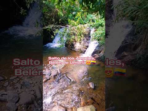 Salto del Ángel, ubicado en el departamento de Risaralda, Belén de Umbría, un paraíso por descubrir