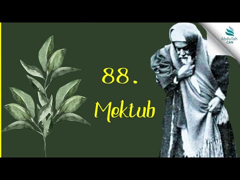 LETTER 88 - THE LOVER'S PUNISHMENT IS PURITY - Muhammed Esad Erbili