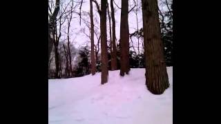 Olivia- Outta' the Woods