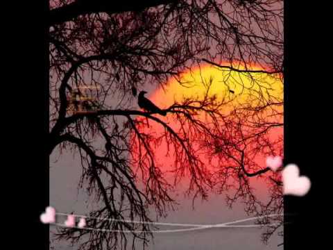 download lagu mp3 mp4 Eion Alea 6 Albums, download mp3 Eion Alea 6 Albums free download mp3, download mp3 Eion Alea 6 Albums