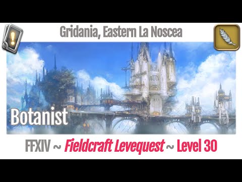 FFXIV Botanist Leves Level 30 - Gridania, Eastern La Noscea - A Realm Reborn