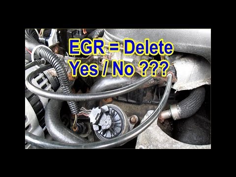 EGR = Delete or Not ? ? ?  YES / NO ? ? ? Learn how to from my mistakes!