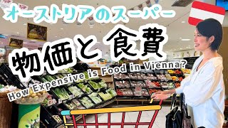 【海外スーパー潜入】夫婦の食費・物価を大公開|オーストリア・ウィーン|How Expensive is Food in Vienna?