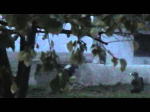 استهداف حاجز حصرايا في ريف حماة من قبل لواء المتحابين في الله