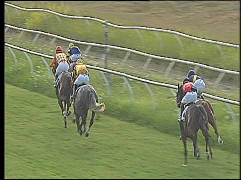 Galoppo 23/07/2016 - 2° corsa