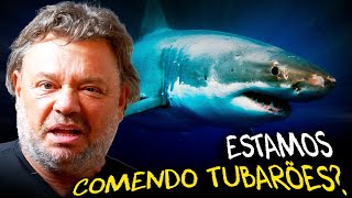 Miniatura do vídeo