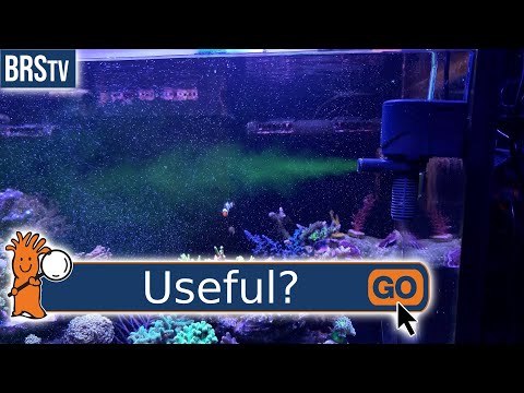What Does a Powerhead Do in an Aquarium?